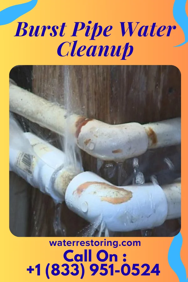 Burst Pipe Water Cleanup in Patrick, SC
