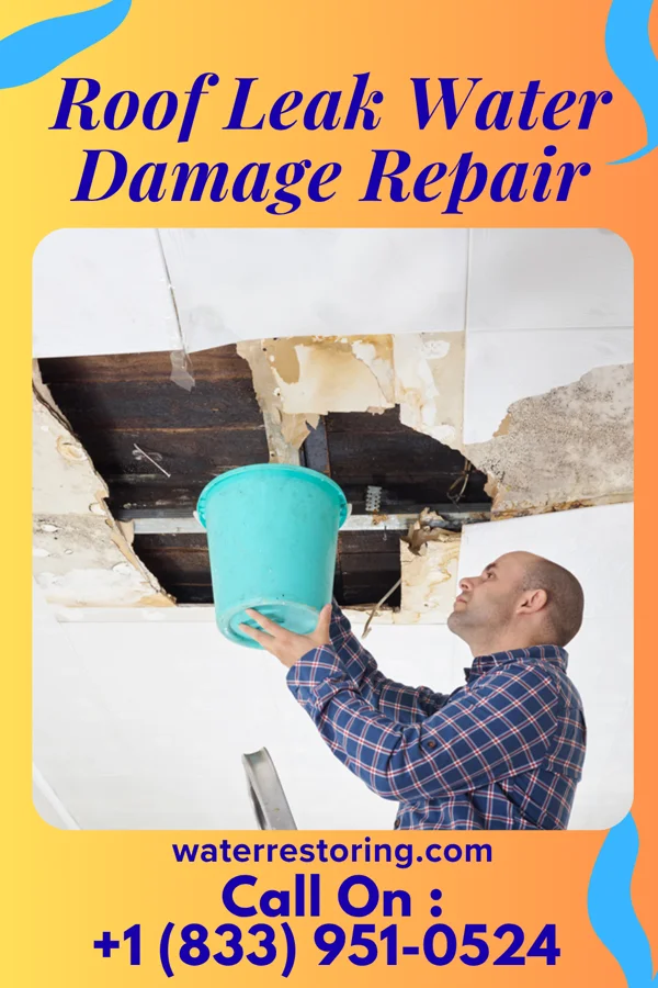 Roof Leak Water Damage Repair in Patrick, SC