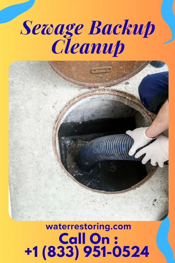 Sewage Backup Cleanup in Patrick, SC