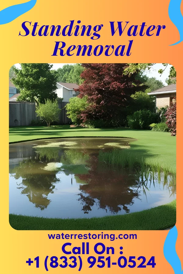 Standing Water Removal in Patrick, SC